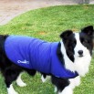 CoolChampions Cool Coat - Tyson